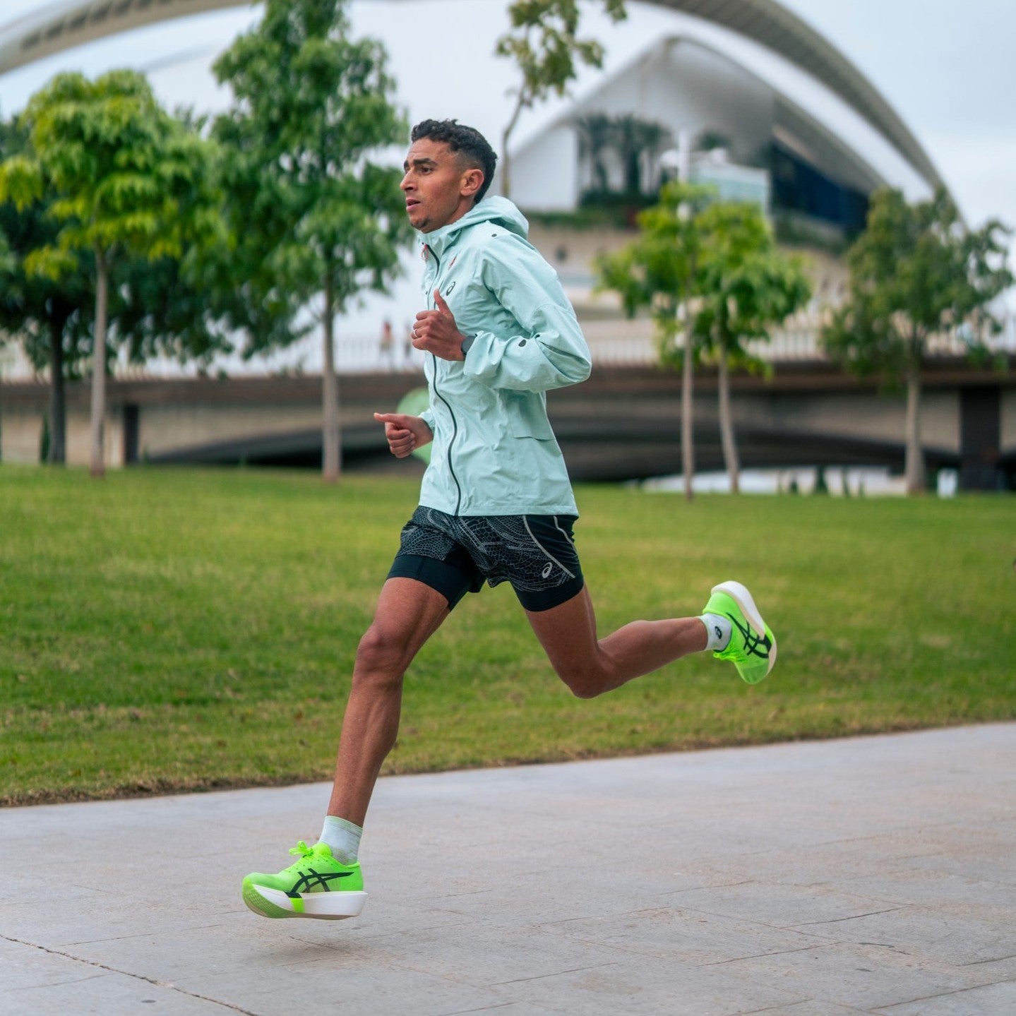 Asics Metaspeed Sky Tokyo | Green Gecko / Black | Unisex