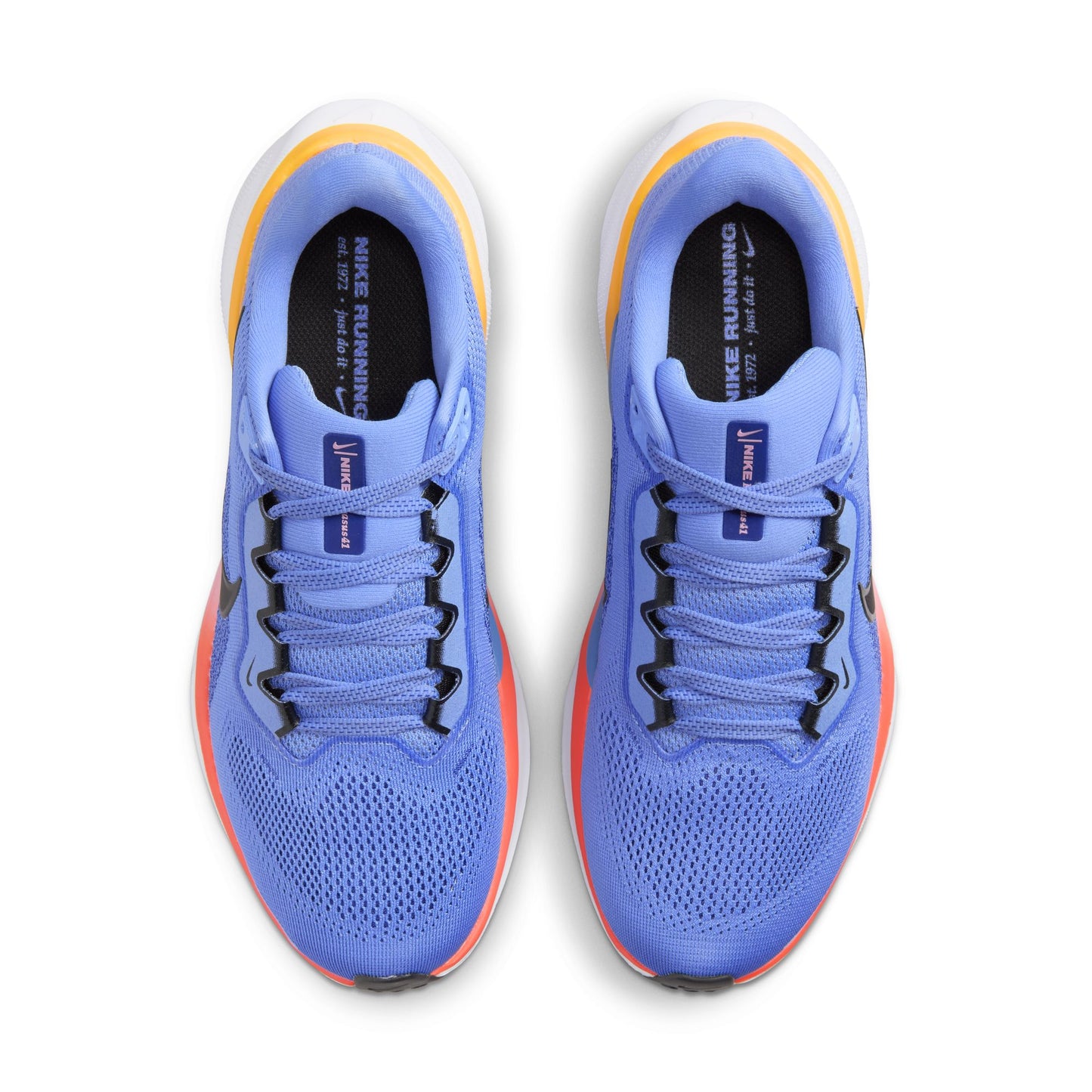Nike Pegasus 41 | Royal Pulse / Astronomy Blue | Womens