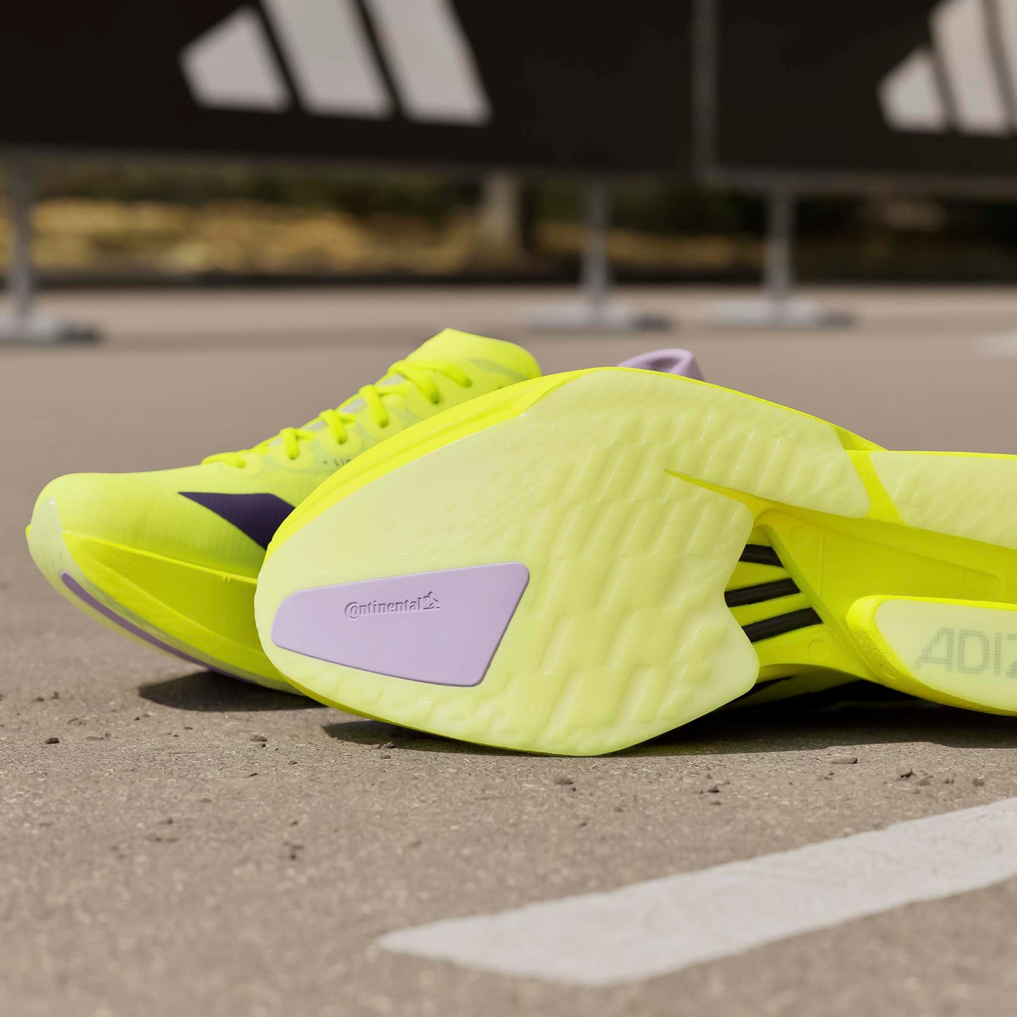 adidas Adizero Adios Pro 4 | Solar Yellow / Aurora Plum / Powder Plum | Mens