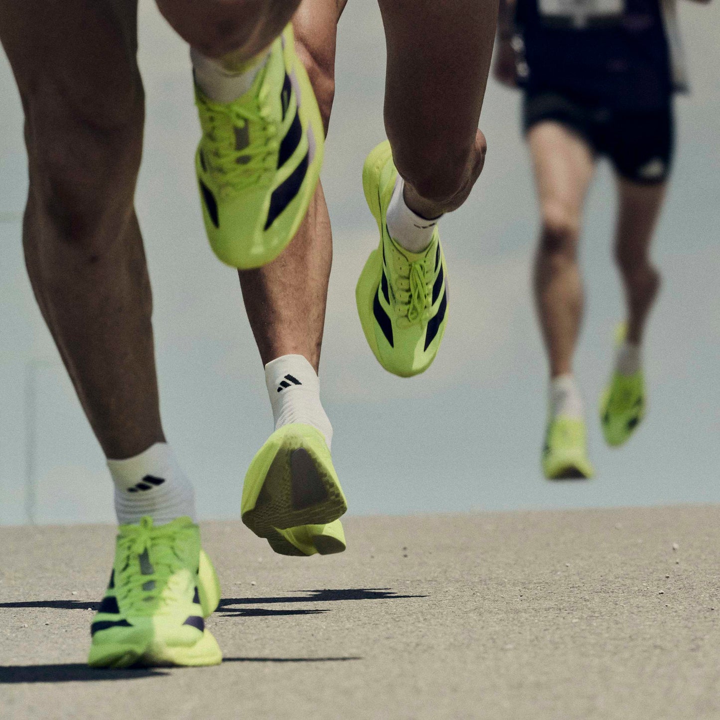 adidas Adizero Adios Pro 4 | Solar Yellow / Aurora Plum / Powder Plum | Mens
