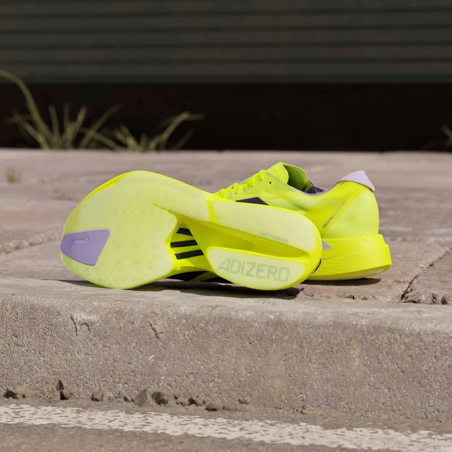 adidas Adizero Adios Pro 4 | Solar Yellow / Aurora Plum / Powder Plum | Mens