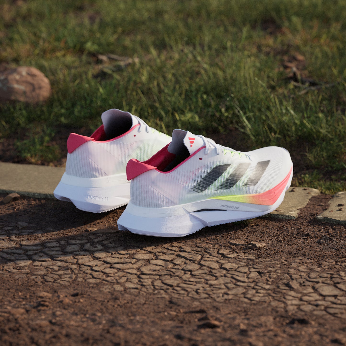 adidas Adizero Boston 12 | Footwear White / Core Black / Lucid Red | Womens
