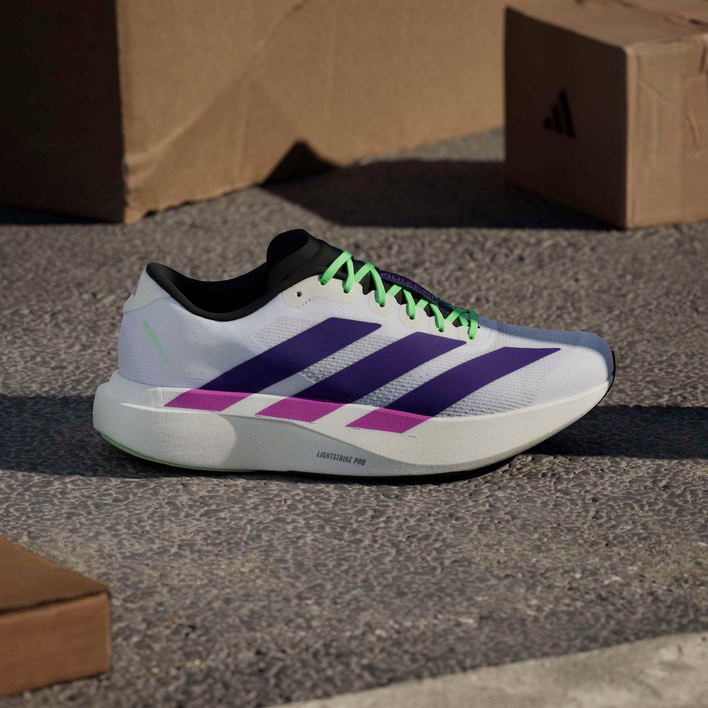 adidas Adizero Evo SL | Cloud White / Collegiate Purple / Lime Burst | Mens