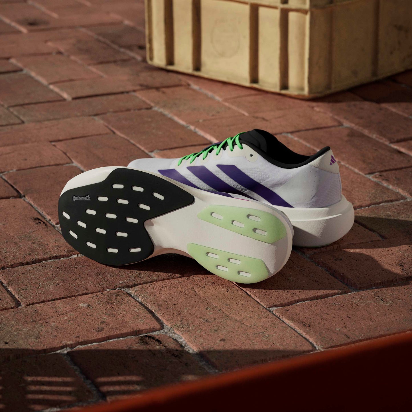 adidas Adizero Evo SL | Cloud White / Collegiate Purple / Lime Burst | Mens