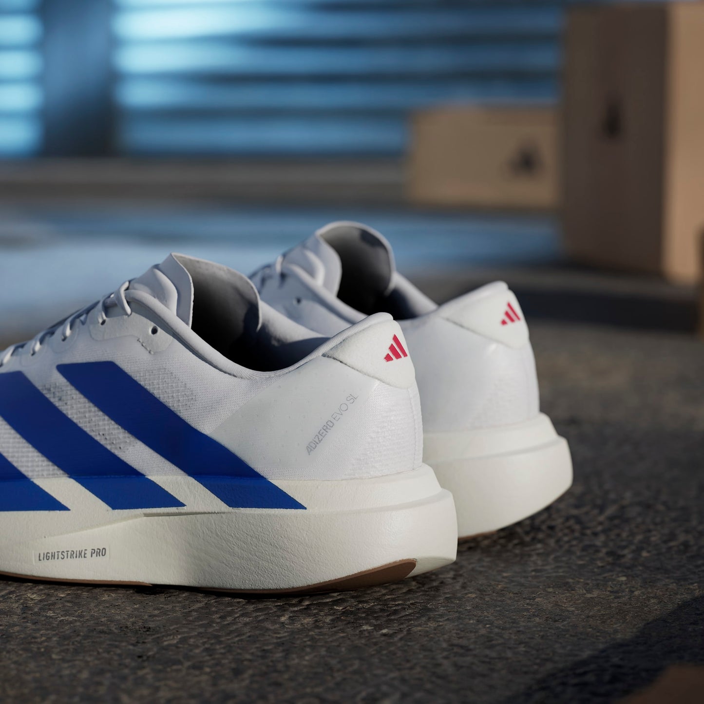 adidas Adizero Evo SL | Footwear White / Team Royal Blue / Pure Ruby | Mens
