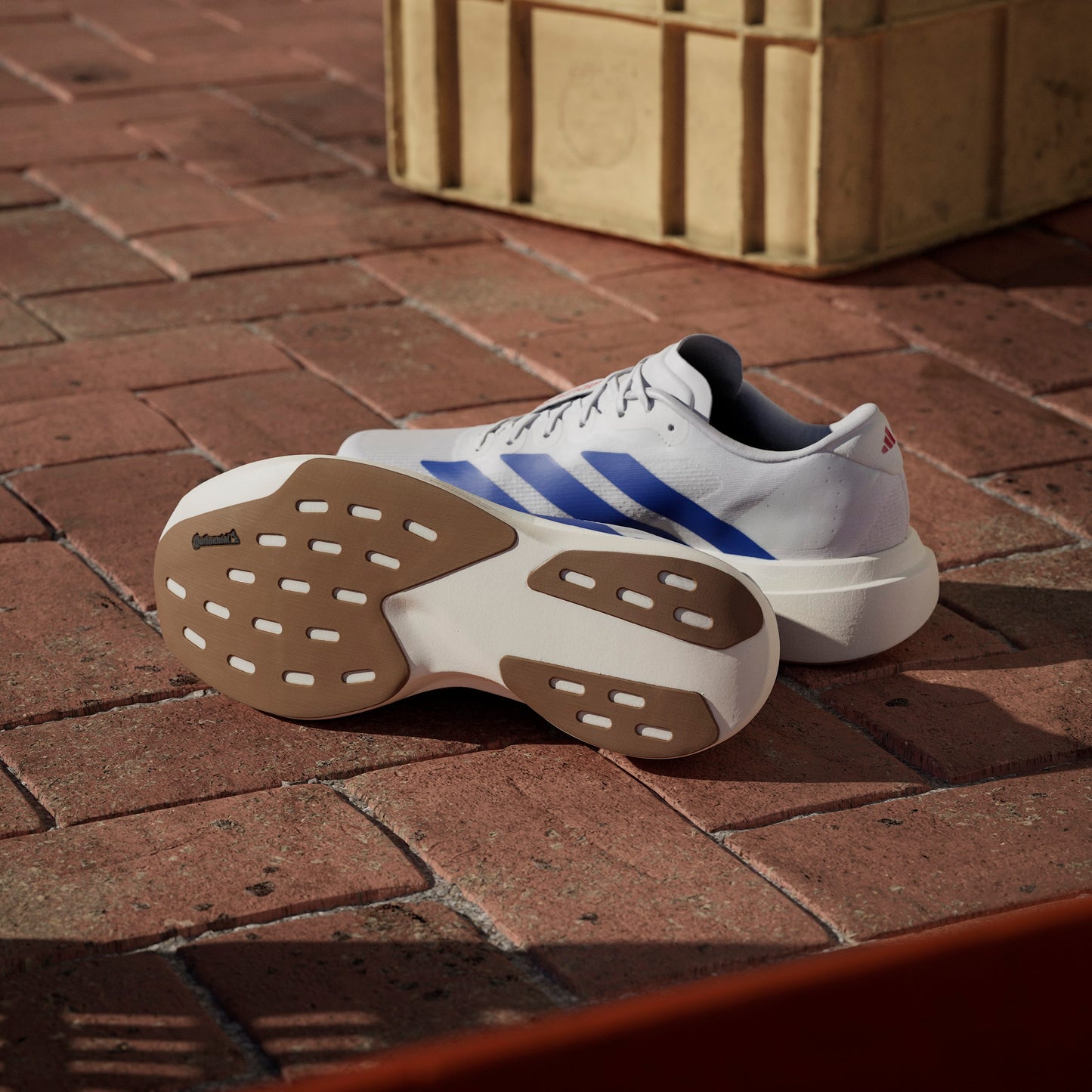 adidas Adizero Evo SL | Footwear White / Team Royal Blue / Pure Ruby | Mens