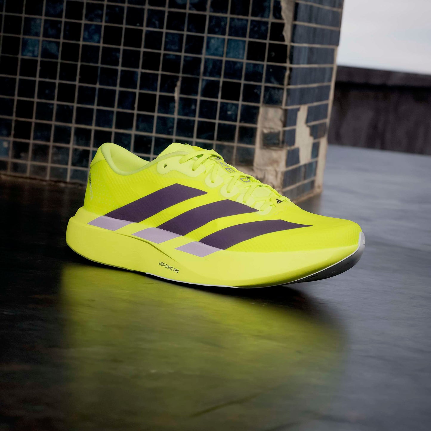 adidas Adizero Evo SL Woven | Solar Yellow / Aurora Plum / Powder Plum | Mens