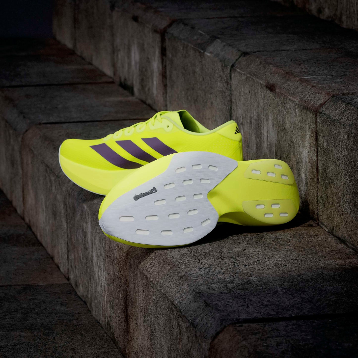 adidas Adizero Evo SL Woven | Solar Yellow / Aurora Plum / Powder Plum | Mens