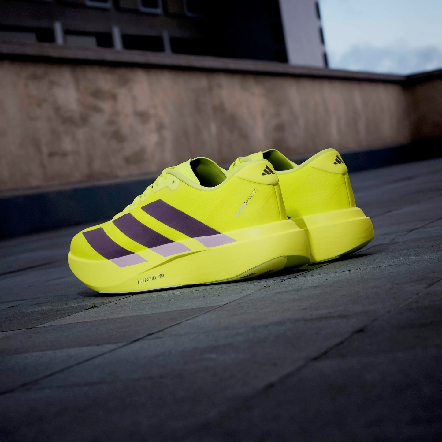 adidas Adizero Evo SL Woven | Solar Yellow / Aurora Plum / Powder Plum | Mens