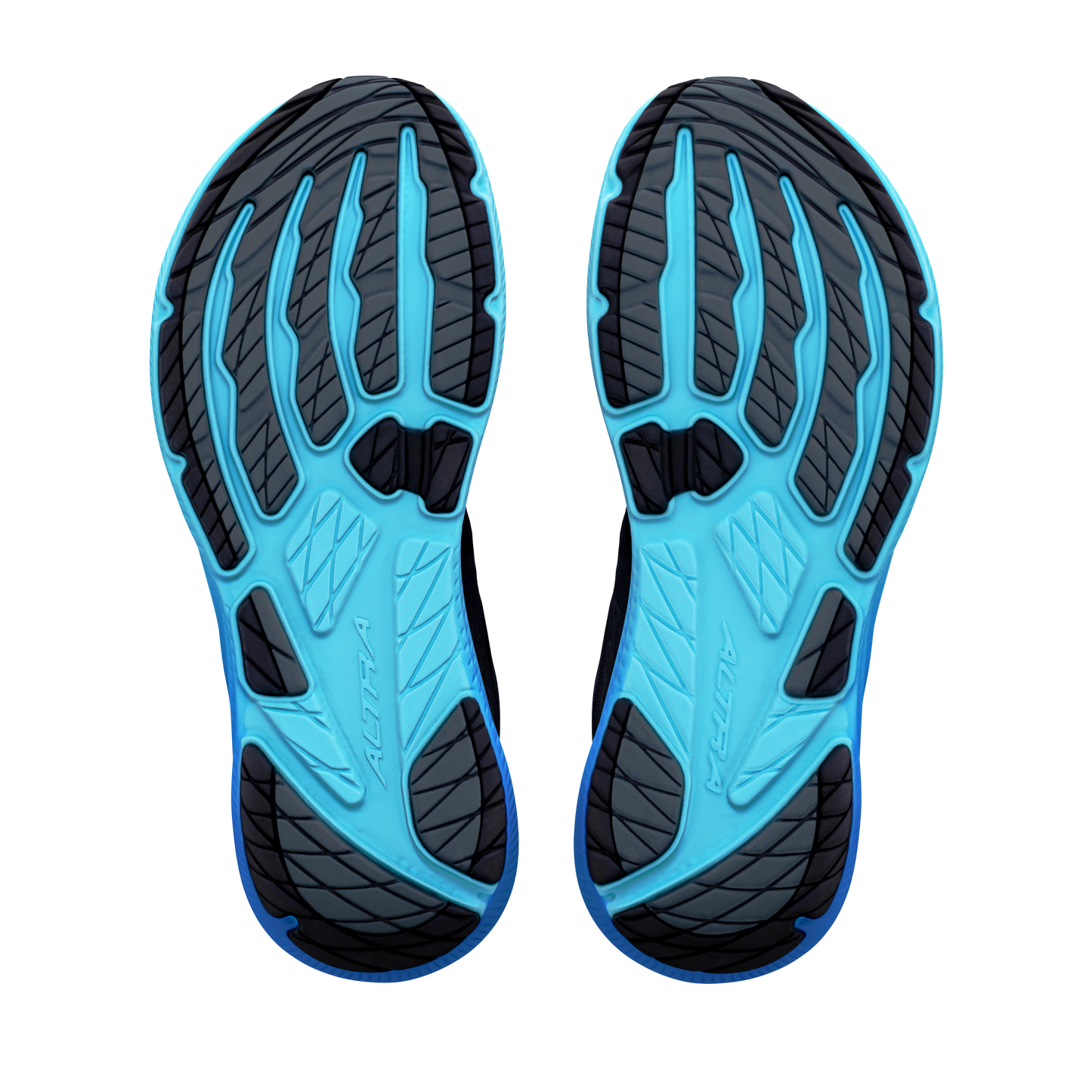 Altra Experience Flow 3 | Black / Blue Fish | Mens