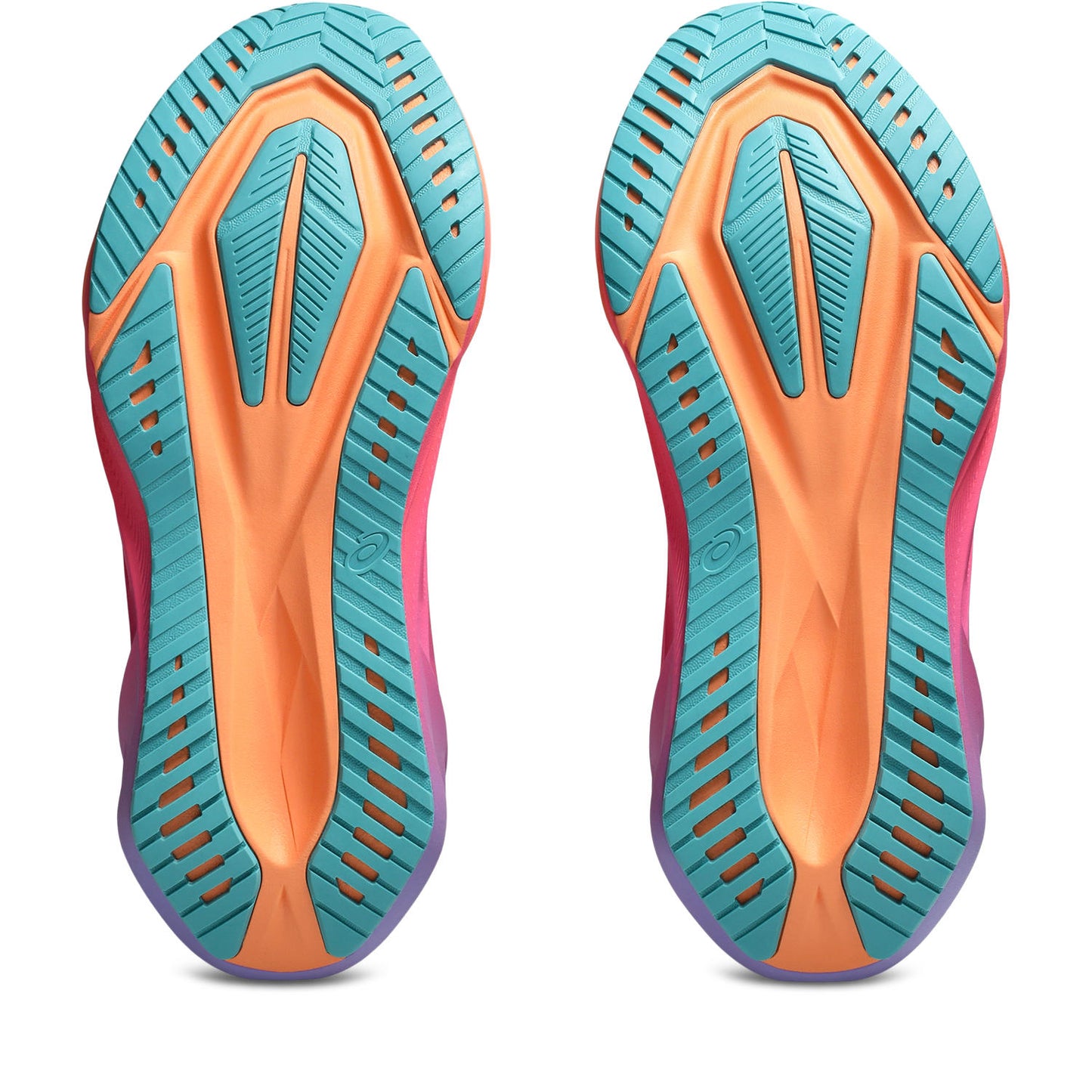 Asics Novablast 5 LA | Mojave / Amethyst | Unisex