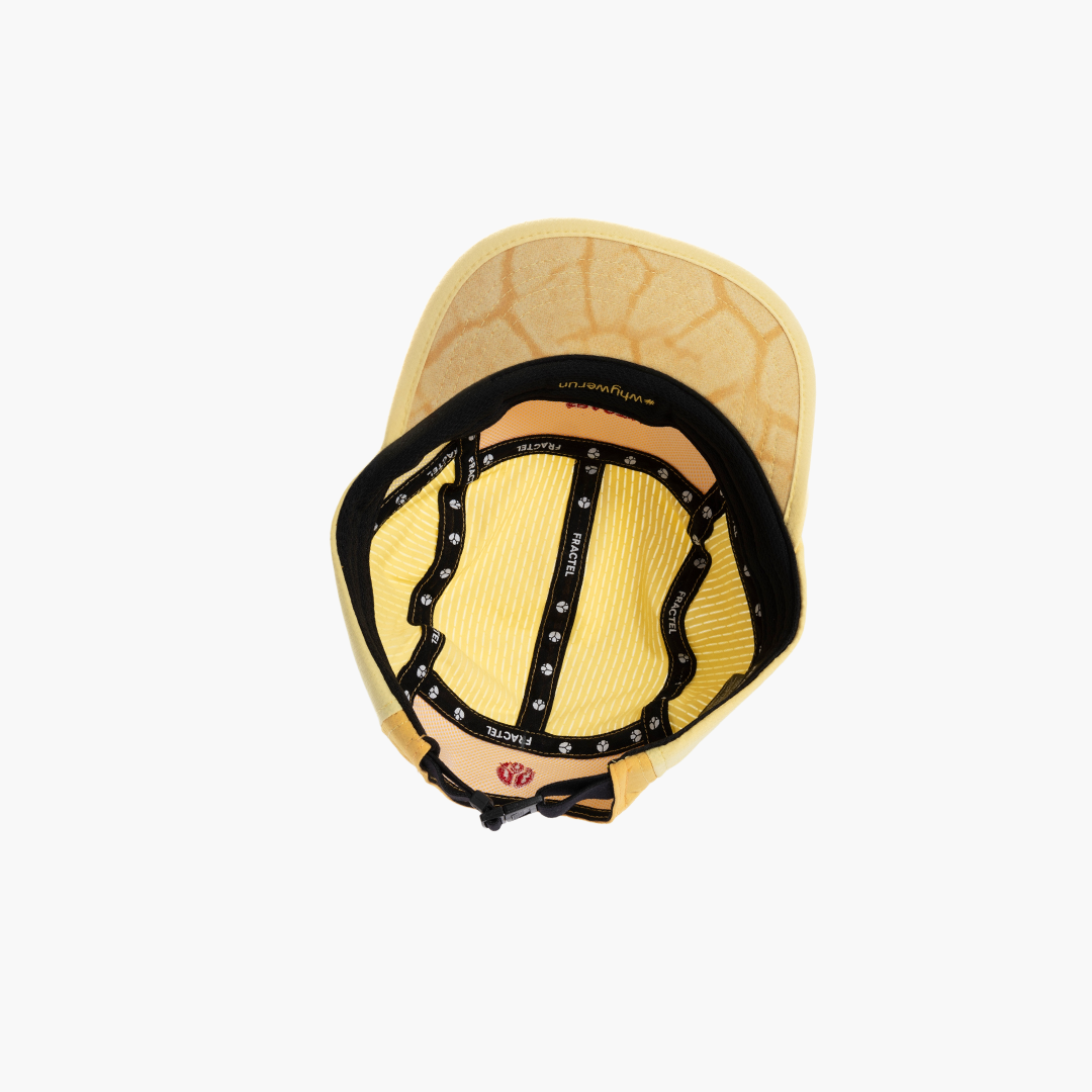 Fractel M-Series Cap | Dandelion