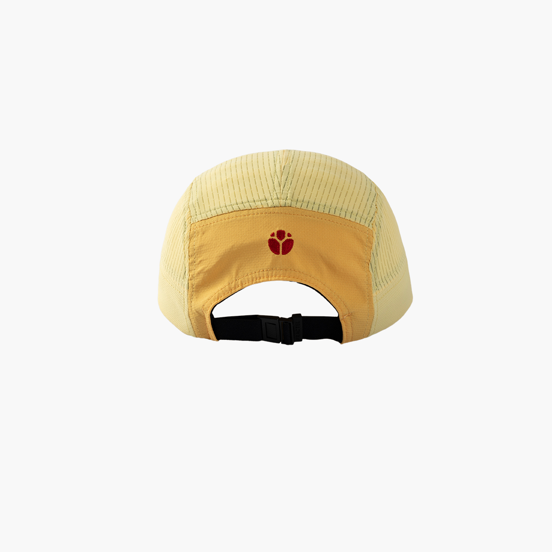 Fractel M-Series Cap | Dandelion