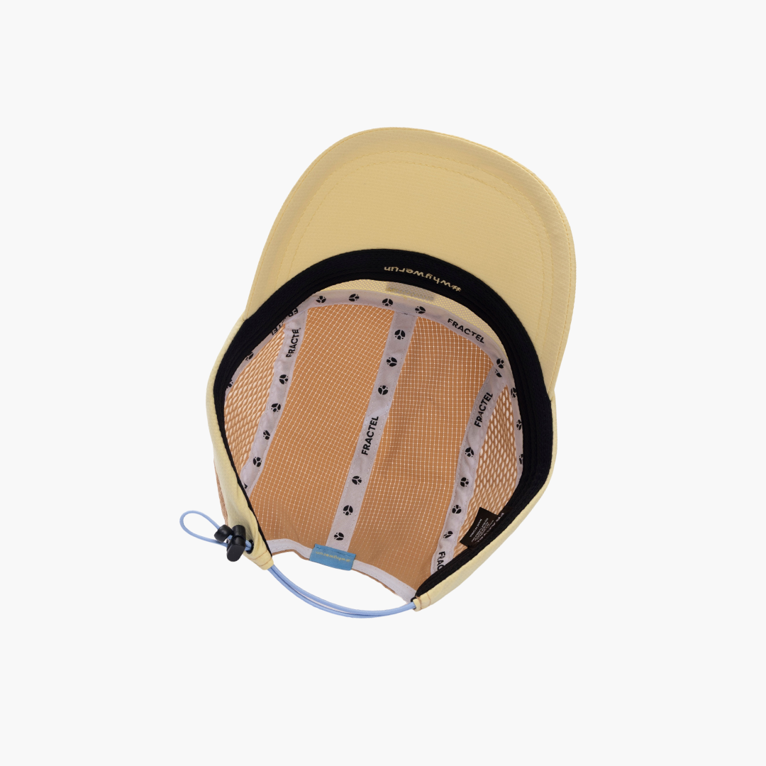 Fractel R-Series Cap | Goldy