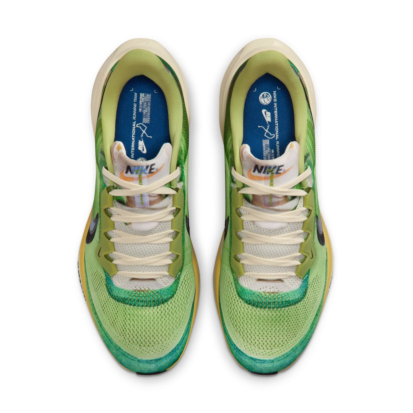 Nike Pegasus 41 SE | Multi-Colour / Vivid Green / Dark Apple / Clear | Mens