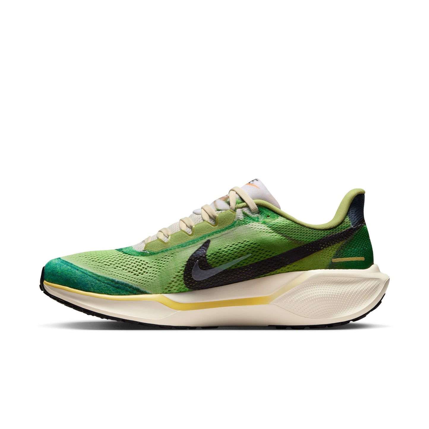 Nike Pegasus 41 SE | Multi-Colour / Vivid Green / Dark Apple / Clear | Mens