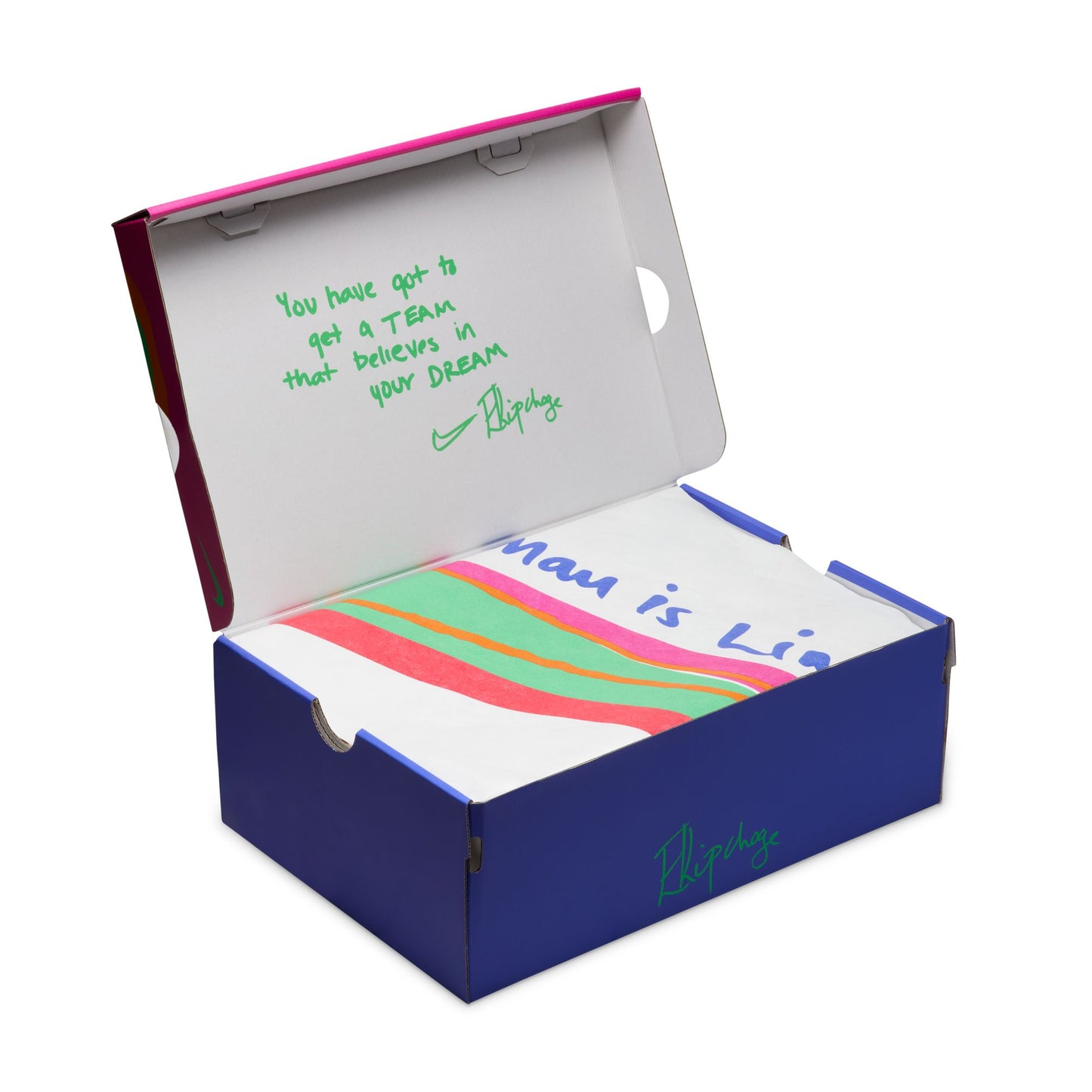 Nike Vaporfly 4 'Eliud Kipchoge' | Silt Red / Fire Pink / Bright Ceramic / Green Shock | Mens