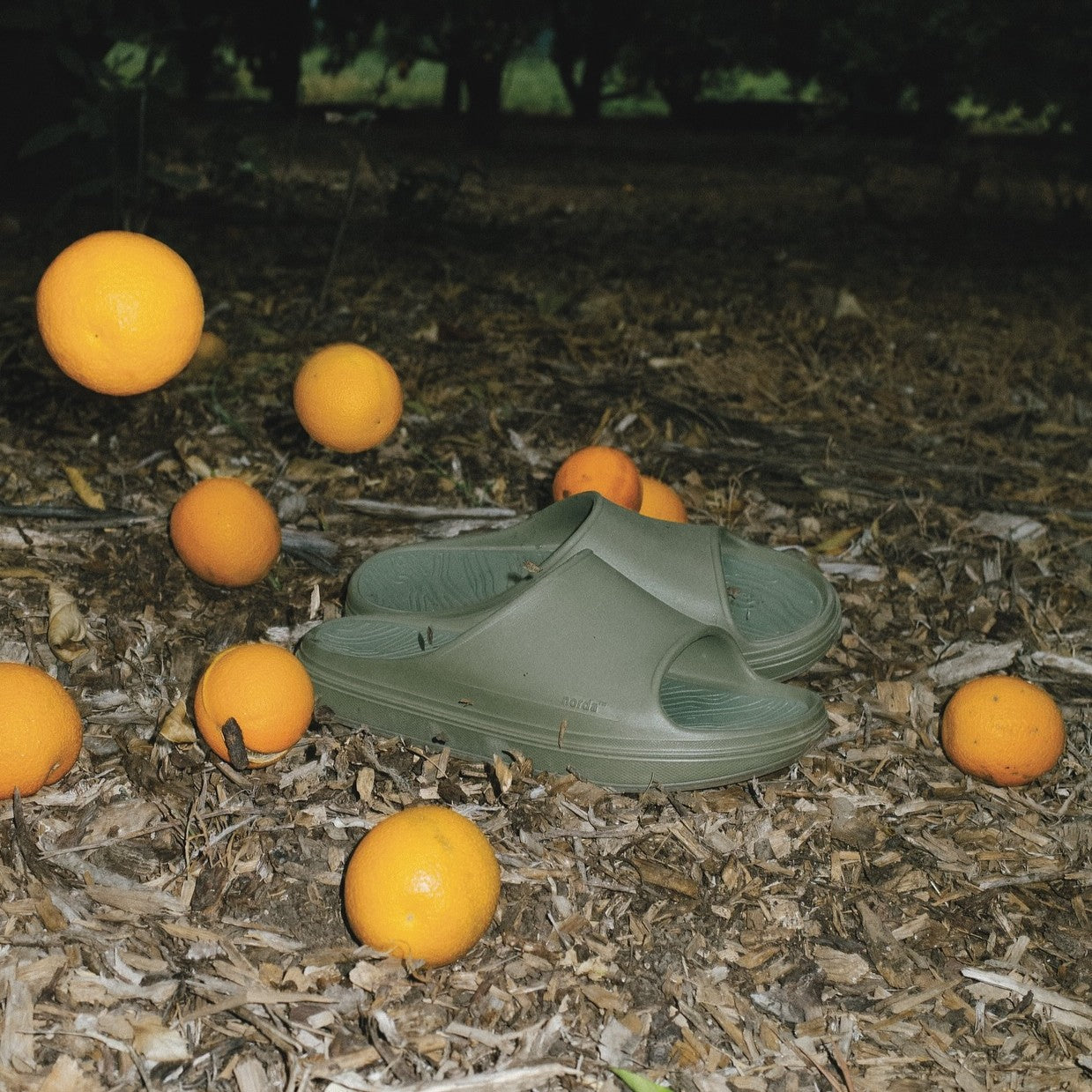 norda 008 Slide | Sage | Unisex